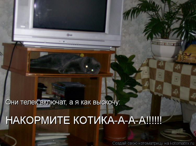 Котоматрица: Они телек включат, а я как выскочу:  НАКОРМИТЕ КОТИКА-А-А-А!!!!!!