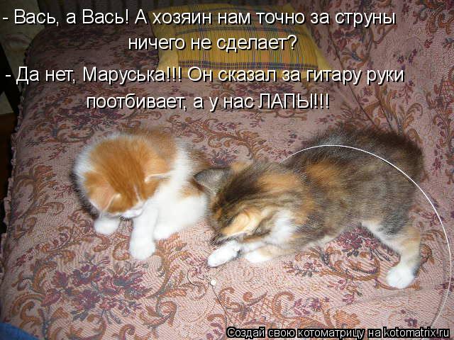 Котоматрица: ничего не сделает? поотбивает, а у нас ЛАПЫ!!! - Да нет, Маруська!!! Он сказал за гитару руки - Вась, а Вась! А хозяин нам точно за струны