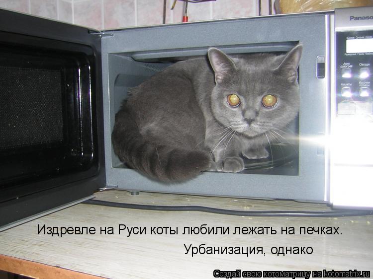 Издревле на Руси коты любили лежать на печках. Урбанизация, однако... Котоматрица: Издревле на Руси коты любили лежать на печках. Урбанизация, однако