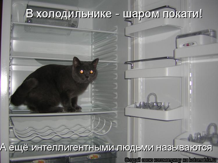 В холодильнике - шаром покати! А ещё интеллигентными людьми называются... Котоматрица: В холодильнике - шаром покати! А ещё интеллигентными людьми называются