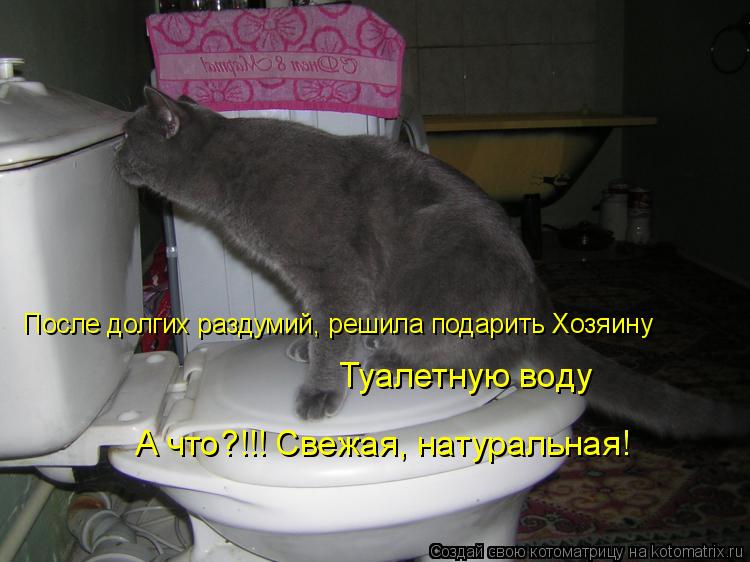 Котоматрица: После долгих раздумий, решила подарить Хозяину  Туалетную воду А что?!!! Свежая, натуральная!