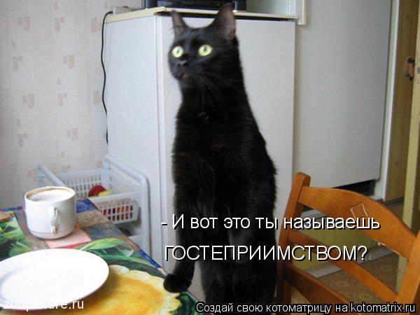 - И вот это ты называешь ГОСТЕПРИИМСТВОМ?... Котоматрица: - И вот это ты называешь ГОСТЕПРИИМСТВОМ?