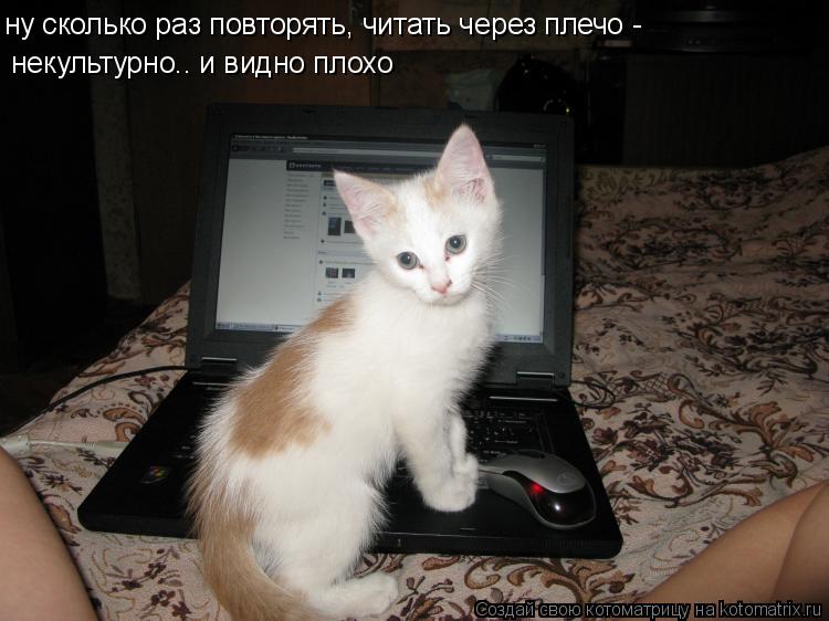 ну сколько раз повторять, читать через плечо - некультурно.. и видно плохо... Котоматрица: ну сколько раз повторять, читать через плечо - некультурно.. и видно плохо