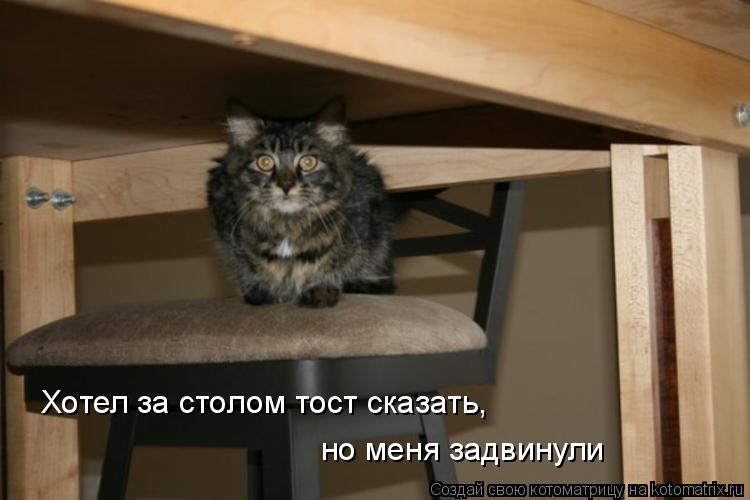 Хотел за столом тост сказать, но меня задвинули... Котоматрица: Хотел за столом тост сказать, но меня задвинули