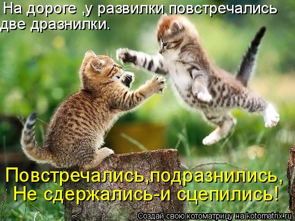 На дороге ,у развилки повстречались две дразнилки. Повстречались,подразнились, Не сдержались-и сцепил... Котоматрица: На дороге ,у развилки повстречались две дразнилки. Повстречались,подразнились, Не сдержались-и сцепились!