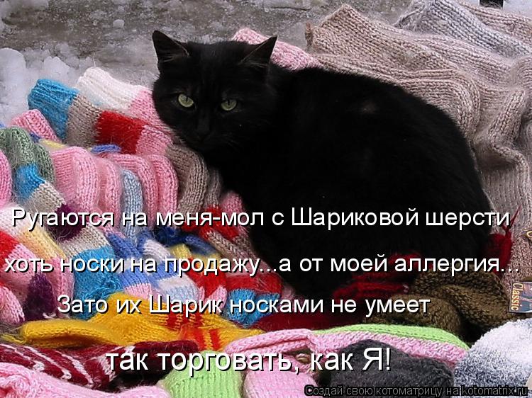 Ругаются на меня-мол с Шариковой шерсти хоть носки на продажу...а от моей аллергия... Зато их Шарик н... Котоматрица: Ругаются на меня-мол с Шариковой шерсти хоть носки на продажу...а от моей аллергия... Зато их Шарик носками не умеет так торговать, как Я!
