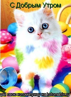 Котоматрица: С Добрым Утром