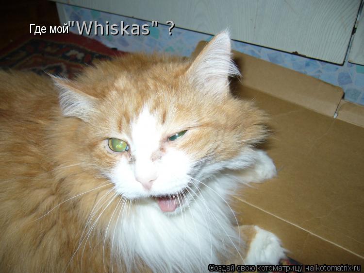 Котоматрица: Где мой  "Whiskas" ?
