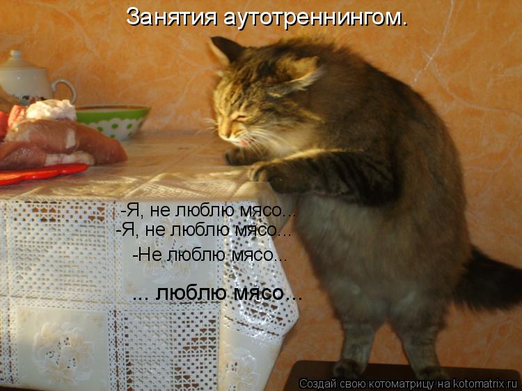 Котоматрица: Занятия аутотреннингом. -Я, не люблю мясо... -Я, не люблю мясо... -Не люблю мясо... ... люблю мясо...