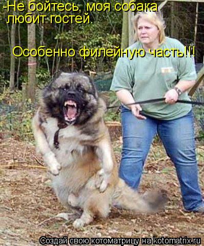 Котоматрица: -Не бойтесь, моя собака  любит гостей. Особенно филейную часть!!!