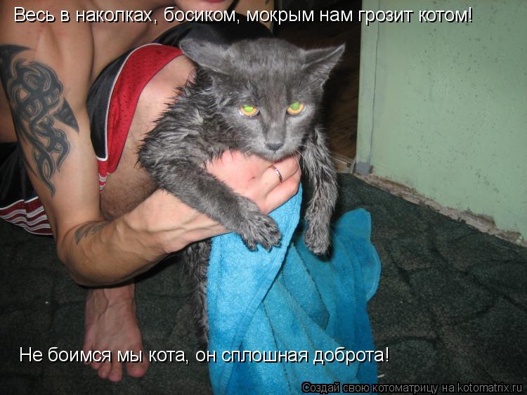 Котоматрица: Весь в наколках, босиком, мокрым нам грозит котом! Не боимся мы кота, он сплошная доброта!