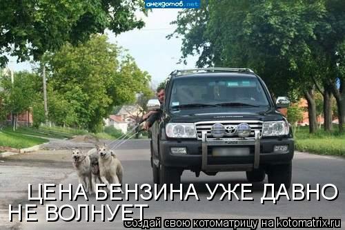 ЦЕНА БЕНЗИНА УЖЕ ДАВНО НЕ ВОЛНУЕТ НЕ ВОЛНУЕТ... Котоматрица: ЦЕНА БЕНЗИНА УЖЕ ДАВНО НЕ ВОЛНУЕТ НЕ ВОЛНУЕТ