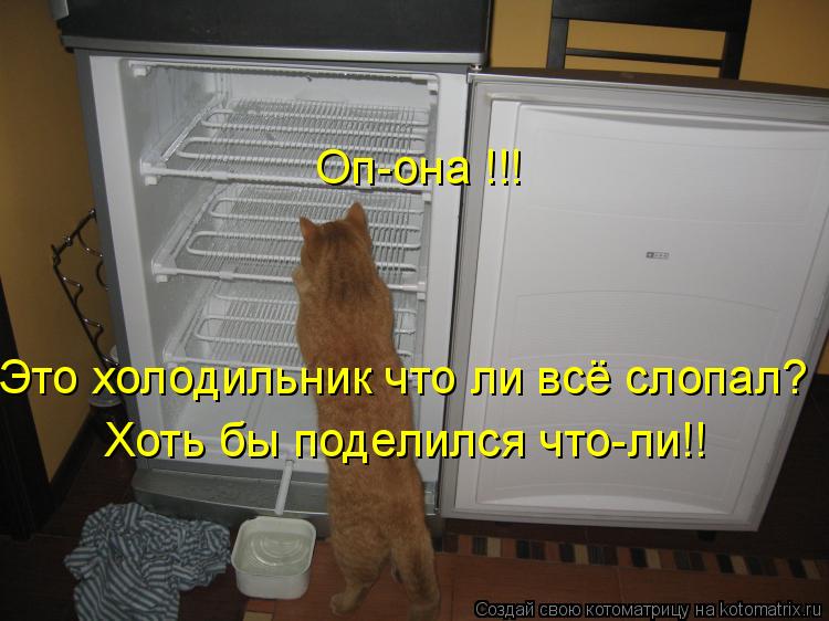 Оп-она !!! Это холодильник что ли всё слопал? Хоть бы поделился что-ли!!... Котоматрица: Оп-она !!! Это холодильник что ли всё слопал? Хоть бы поделился что-ли!!