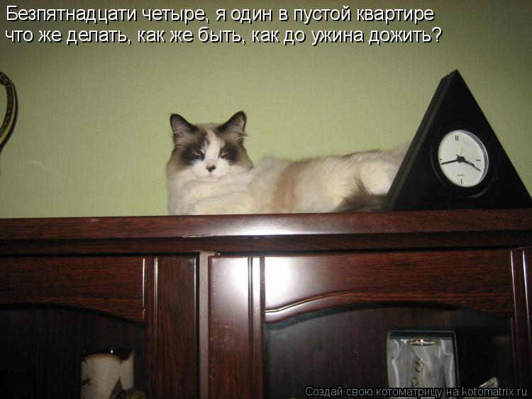 Котоматрица: Безпятнадцати четыре, я один в пустой квартире что же делать, как же быть, как до ужина дожить?