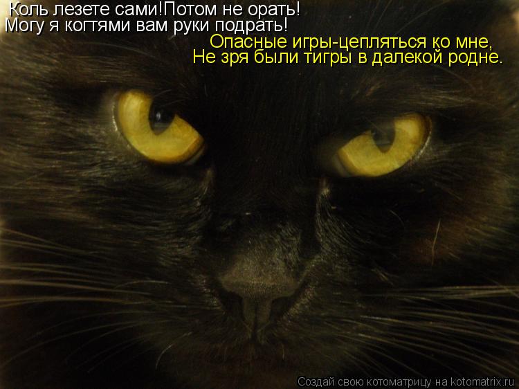 Коль лезете сами!Потом не орать! Могу я когтями вам руки подрать! Опасные игры-цепляться ко мне, Не з... Котоматрица: Коль лезете сами!Потом не орать! Могу я когтями вам руки подрать! Опасные игры-цепляться ко мне, Не зря были тигры в далекой родне.