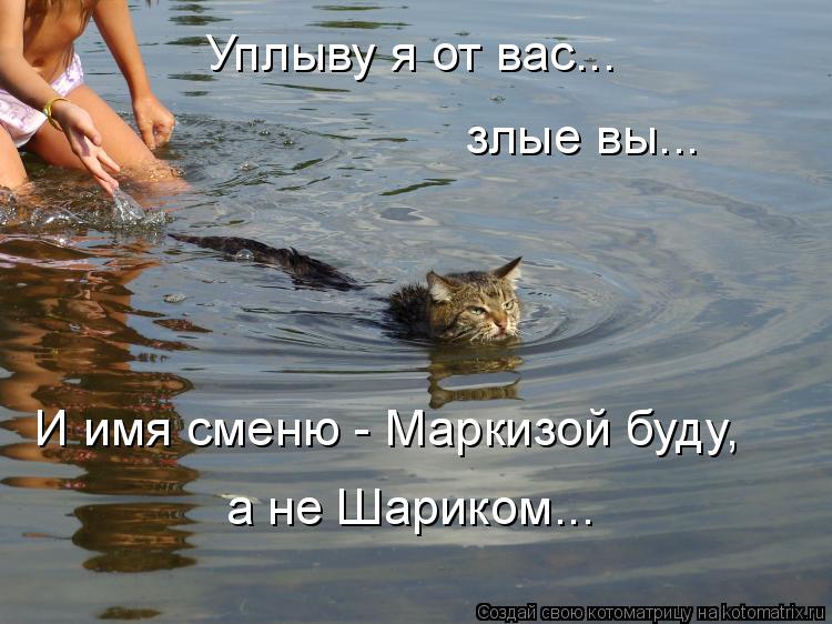 Уплыву я от вас... злые вы... И имя сменю - Маркизой буду, а не Шариком...... Котоматрица: Уплыву я от вас... злые вы... И имя сменю - Маркизой буду, а не Шариком...