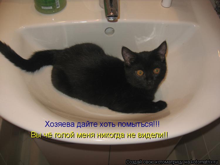 Котоматрица: Хозяева дайте хоть помыться!!! Вы чё голой меня никогда не видели!!