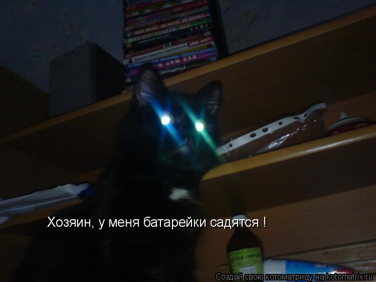 Котоматрица: Хозяин, у меня батарейки садятся !