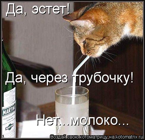 Да, эстет! Да, через трубочку! Нет...молоко...... Котоматрица: Да, эстет! Да, через трубочку! Нет...молоко...