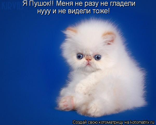 Я Пушок!! Меня не разу не гладели нууу и не видели тоже!... Котоматрица: Я Пушок!! Меня не разу не гладели нууу и не видели тоже!
