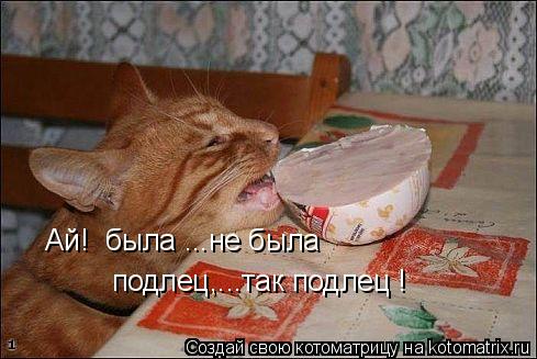 Ай! была ...не была подлец,...так подлец !... Котоматрица: Ай! была ...не была подлец,...так подлец !