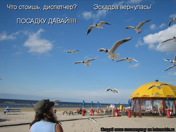 ПОСАДКУ ДАВАЙ!!!! Что стоишь, диспетчер? Эскадра вернулась!... Котоматрица: ПОСАДКУ ДАВАЙ!!!! Что стоишь, диспетчер? Эскадра вернулась!