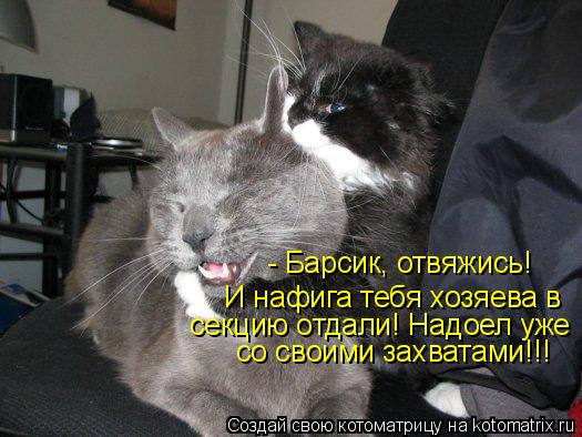 - Барсик, отвяжись! И нафига тебя хозяева в секцию отдали! Надоел уже со своими захватами!!!... Котоматрица: - Барсик, отвяжись! И нафига тебя хозяева в секцию отдали! Надоел уже со своими захватами!!!