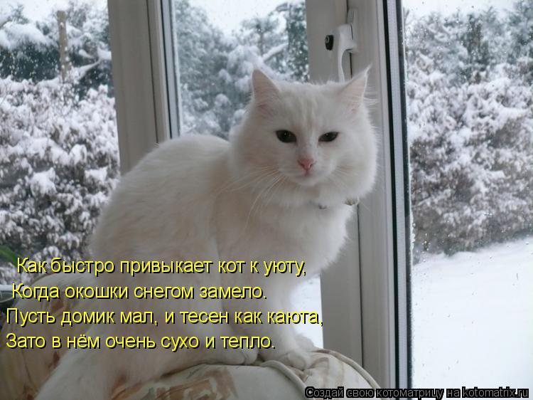 Котоматрица: Как быстро привыкает кот к уюту,  Когда окошки снегом замело.  Пусть домик мал, и тесен как каюта, Зато в нём очень сухо и тепло.