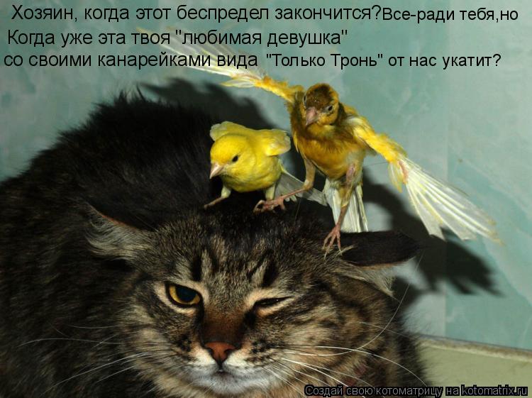Хозяин, когда этот беспредел закончится? Когда уже эта твоя "любимая девушка" Все-ради тебя,но со св... Котоматрица: Хозяин, когда этот беспредел закончится? Когда уже эта твоя "любимая девушка" Все-ради тебя,но со своими канарейками вида "Только Тронь" от н