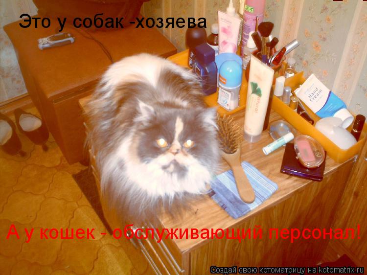 Это у собак -хозяева А у кошек - обслуживающий персонал!... Котоматрица: Это у собак -хозяева А у кошек - обслуживающий персонал!