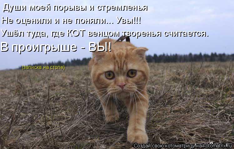 Души моей порывы и стремленья Не оценили и не поняли... Увы!!! Ушёл туда, где КОТ венцом творенья счи... Котоматрица: Души моей порывы и стремленья Не оценили и не поняли... Увы!!! Ушёл туда, где КОТ венцом творенья считается. В проигрыше - ВЫ! (записка на столе)