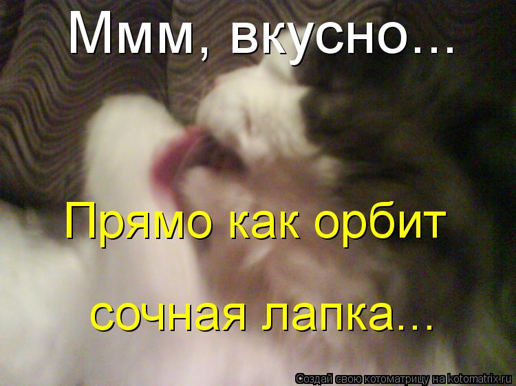 Ммм, вкусно... Прямо как орбит сочная лапка...... Котоматрица: Ммм, вкусно... Прямо как орбит сочная лапка...