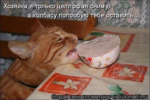 Хозяйка,я только целлофан сниму, а колбасу попробую тебе оставить..... Котоматрица: Хозяйка,я только целлофан сниму, а колбасу попробую тебе оставить..