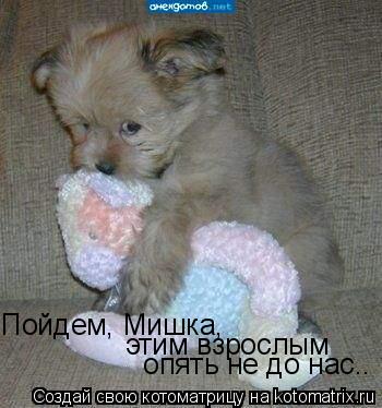 Пойдем, Мишка, этим взрослым опять не до нас..... Котоматрица: Пойдем, Мишка, этим взрослым опять не до нас..