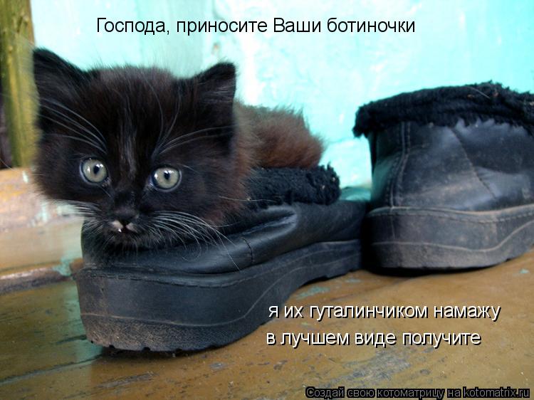 Господа, приносите Ваши ботиночки я их гуталинчиком намажу в лучшем виде получите... Котоматрица: Господа, приносите Ваши ботиночки я их гуталинчиком намажу в лучшем виде получите