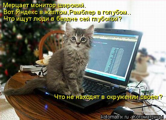 Мерцает монитор широкий. Вот Яндекс в желтом,Рамблер в голубом.. Что ищут люди в бездне сей глубокой?... Котоматрица: Мерцает монитор широкий. Вот Яндекс в желтом,Рамблер в голубом.. Что ищут люди в бездне сей глубокой? Что не находят в окружении своем?