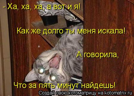 Создать сайт за пять минут