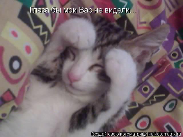 Котоматрица: Глаза бы мои Вас не видели...