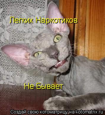 Не Бывает Легких Наркотиков... Котоматрица: Не Бывает Легких Наркотиков