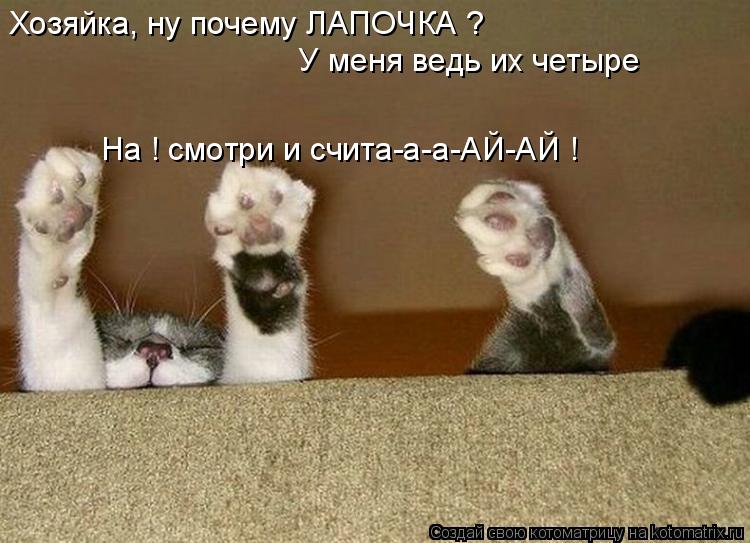 Хозяйка, ну почему ЛАПОЧКА ? У меня ведь их четыре На ! смотри и счита-а-а-АЙ-АЙ !... Котоматрица: Хозяйка, ну почему ЛАПОЧКА ? У меня ведь их четыре На ! смотри и счита-а-а-АЙ-АЙ !