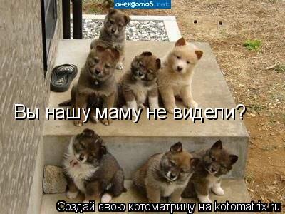 Вы нашу маму не видели?... Котоматрица: Вы нашу маму не видели?