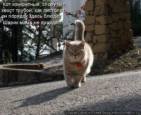 Кот конкретный, спору нет, хвост трубой, как пистолет, он порядок здесь блюдёт Шарик мимо не пройдёт!... Котоматрица: Кот конкретный, спору нет, хвост трубой, как пистолет, он порядок здесь блюдёт Шарик мимо не пройдёт! Шарик мимо не пройдёт!