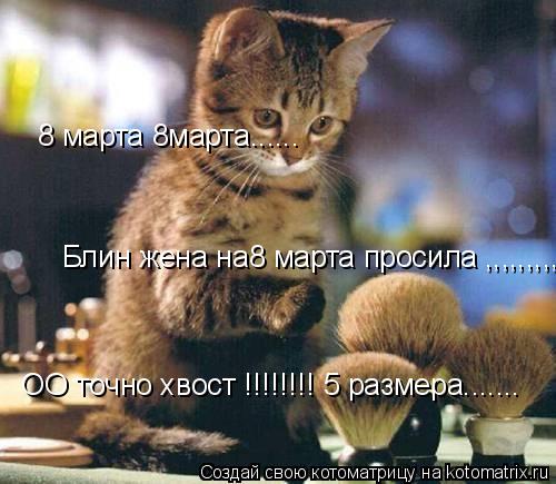 Котоматрица: 8 марта 8марта...... Блин жена на8 марта просила ,,,,,,,,,  ОО точно хвост !!!!!!!! 5 размера.......