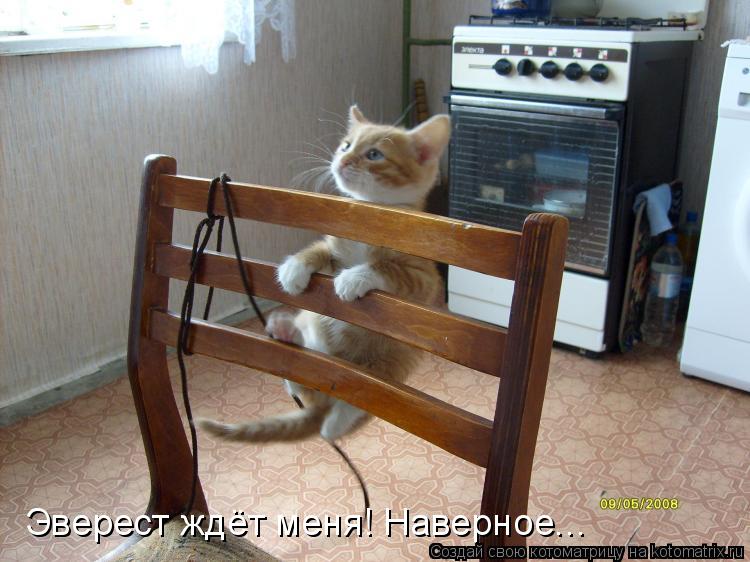 Эверест ждёт меня! Наверное...... Котоматрица: Эверест ждёт меня! Наверное...