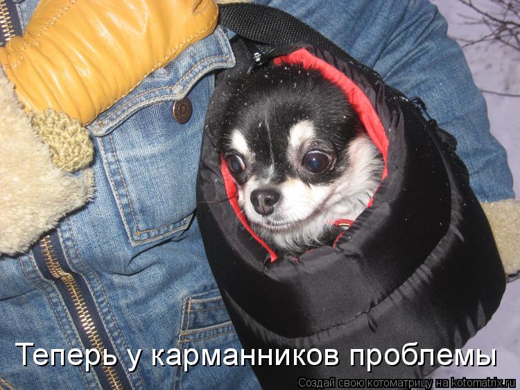 Теперь у карманников проблемы... Котоматрица: Теперь у карманников проблемы