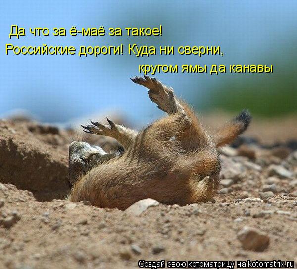 Да что за ё-маё за такое! Российские дороги! Куда ни сверни, кругом ямы да канавы... Котоматрица: Да что за ё-маё за такое! Российские дороги! Куда ни сверни, кругом ямы да канавы