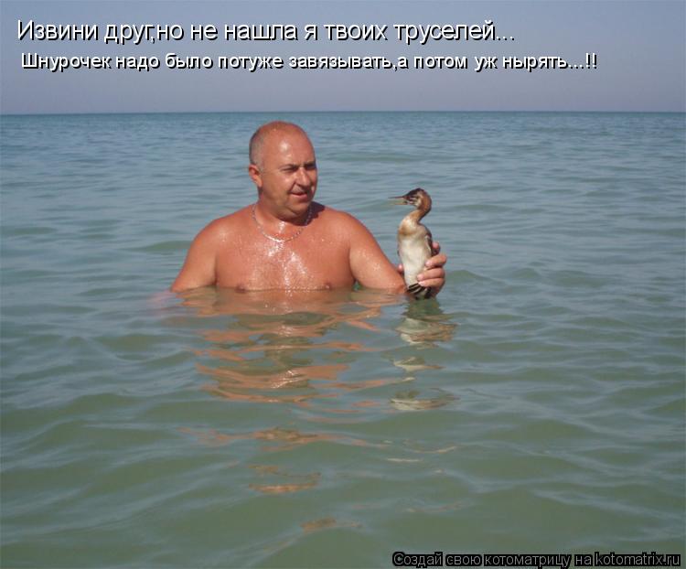 Извини друг,но не нашла я твоих труселей... Шнурочек надо было потуже завязывать,а потом уж нырять...... Котоматрица: Извини друг,но не нашла я твоих труселей... Шнурочек надо было потуже завязывать,а потом уж нырять...!!