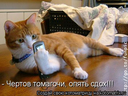 - Чертов томагочи, опять сдох!!!... Котоматрица: - Чертов томагочи, опять сдох!!!