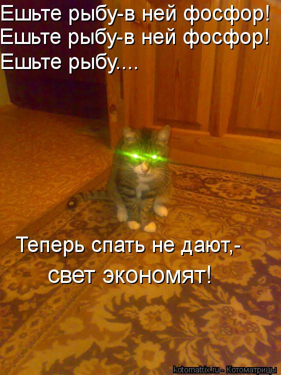 http://kotomatrix.ru/images/lolz/2008/12/10/T6.jpg