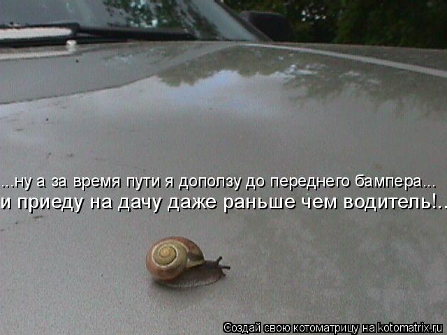 ...ну а за время пути я доползу до переднего бампера... и приеду на дачу даже раньше чем водитель!..... Котоматрица: ...ну а за время пути я доползу до переднего бампера... и приеду на дачу даже раньше чем водитель!..